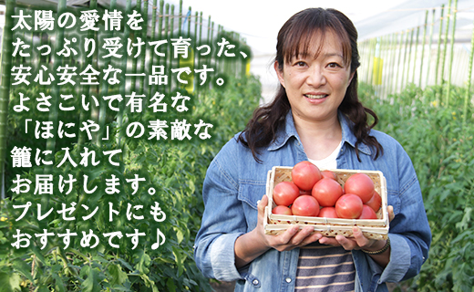 【先行受付】野菜ソムリエが育てた うしの恵 フルーツトマト籠入り1kg mj-0023