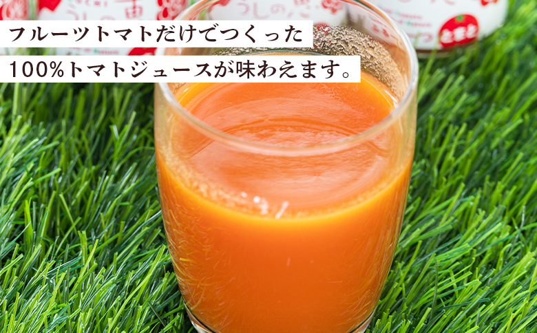 野菜ソムリエが育てた うしの惠フルーツトマト500g＋トマトジュース4本 mj-0026