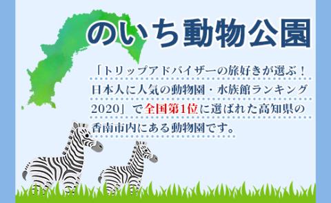 ハシビロコウTシャツ  - 送料無料 のいち動物公園 動物園 トリップアドバイザー2020オシャレ おしゃれ 可愛い カワイイ 動物好き 綿 100% とり 鳥 グッズ 洋服 香南市 ni-0004