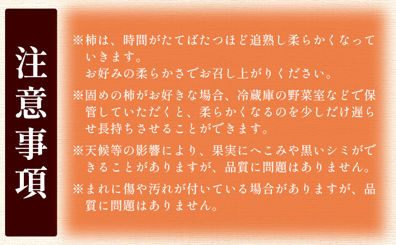 歯ごたえ抜群！次郎柿 5kg くだもの 果物 フルーツ 柿 かき カキ 5きろ 5キロ 美味しい 栄養 高知県 香南市 nm-0004