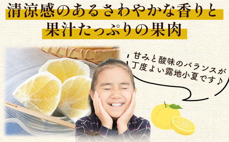 露地 小夏 5kg 家庭用 混合（M〜Lサイズ） フルーツ 果物 くだもの こなつ 5きろ ５キロ わけあり 訳あり 美味しい 高知県 香南市 nm-0005