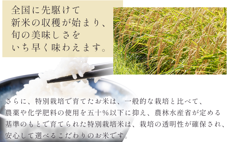 【無洗米】コシヒカリ 特別栽培米 ２kg 【公益社団法人香南市農業公社（高知県香南市）】[nu-0001] 1回配送 約2kg