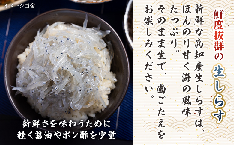 鮮度抜群の生しらす 100g×5袋 nz-0092