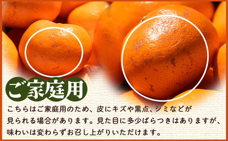 【2026年10月下旬発送】露地みかん(2S～Mサイズ) 3kg 家庭用 （傷み補償分 ＋約100g） om-0001