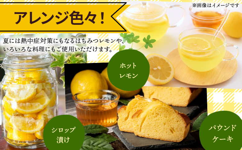 レモン 1kg - 香南市産 国産 檸檬 れもん 果物 くだもの フルーツ 野菜 柑橘 果汁 料理 アレンジ はちみつレモンパウンドケーキ 高知県 香南市 常温 冷蔵 sj-0008 約1kg