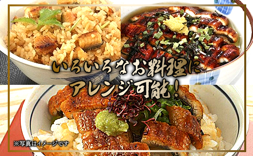 台湾産 きざみうなぎ蒲焼き 10パックセット たれ・山椒付き ss-0052