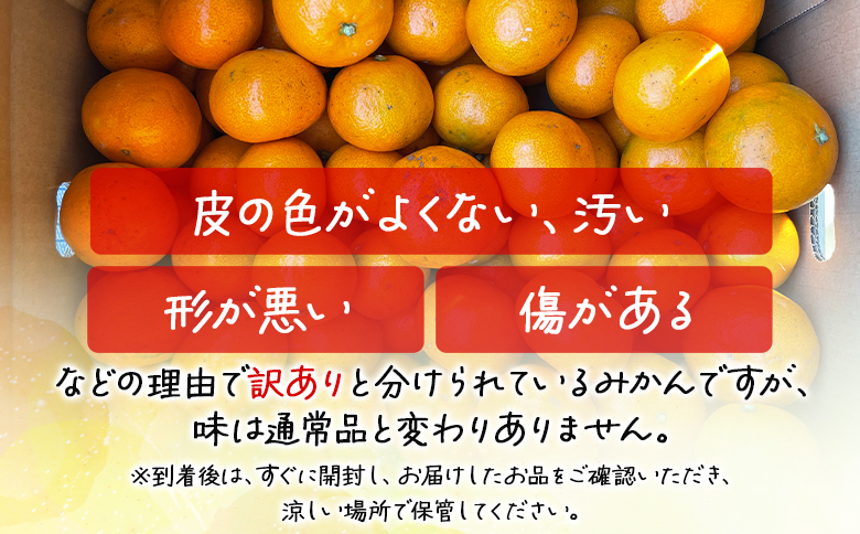 【2026年11月中旬より順次配送】高橋農園【訳あり】山北みかん 露地(Ｓ～Ｍ)Ｂ品 5kg th-0026