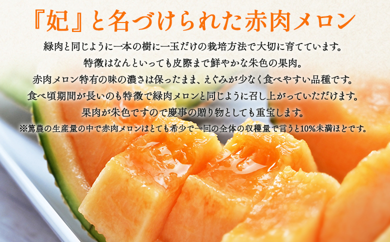 【先行予約受付】メロン 赤肉 青肉 家庭用 2玉 高級 雅&妃 マスクメロン 各１玉 - 青肉メロン 赤肉メロン セット めろん フルーツ くだもの 果物 完熟 おやつ ご褒美 果肉 果汁 ジューシー 果実 甘い 糖度 産地直送 篤農 tn-0026