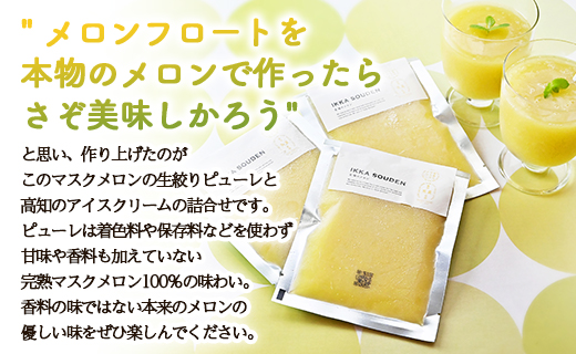 ピューレ メロンピューレ バニラアイスクリーム 3個セット 青肉 アイス 「めざましどようび キクエがキクヨ！」で特集 JALファーストクラス機内食に採用 マスクメロンピューレと高知のバニラアイス - 果物 くだもの めろん 果実 果汁 tn-0028