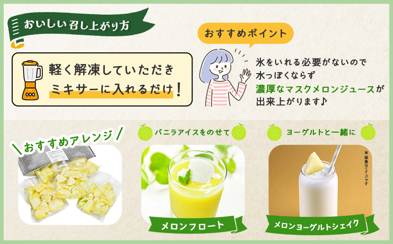 メロンジュースのもと 約800g 約165g×5パック - 国産 マスクメロン 完熟 飲み物 飲料 甘い フルーツジュース ジュース スムージー アレンジ 果物 くだもの フルーツ めろん 篤農 高知県 香南市 tn-0032