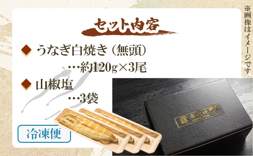 【7日程度で発送】うなぎ白焼き 3尾(合計約360g)(無頭) - 送料無料 鰻 ウナギ 魚介 惣菜 おかず 山椒塩 のし ギフト 贈答 贈り物 プレゼント 丑の日 うなぎ屋きた本 高知県 香南市 冷凍 un-0018