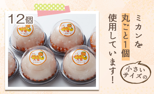フルーツ大福 山北みかん大福 12個 笑顔こぼれる！ - 期間限定 和菓子 スイーツ フルーツ 武市神栄堂 送料無料 ギフト 贈り物 家庭用 みかん大好き 極甘のミカン大福 yd-0023
