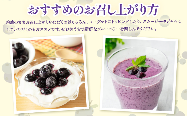 完熟 冷凍ブルーベリー 約600g(200g×3) yg-0027