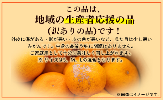 訳あり 山北みかん ご家庭用 約10kg（80～120個程度） 山北みらい - 果物 フルーツ 柑橘類 温州みかん ミカン 蜜柑 甘い おいしい 美味しい 高知県 香南市 yk-0059