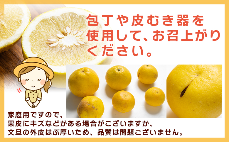 【先行予約】土佐文旦 家庭用 10kg 大小混合(L～3L) 約18～28玉入り yk-0070