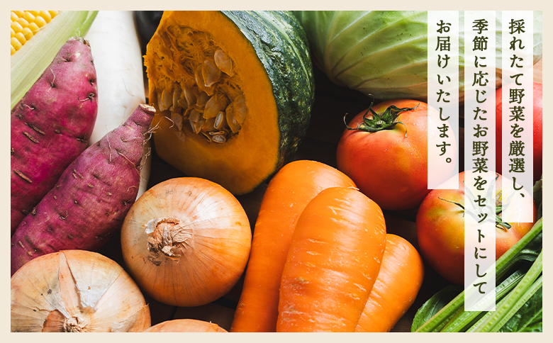 先行予約！産地直送やさいBOX - 野菜 ベジタブル おまかせ 詰め合わせ セット 季節 旬 お任せ 10種類前後 お楽しみ ヘルシー 国産 特産品 送料無料 やすらぎ市 高知県 香南市 冷蔵 yr-0011