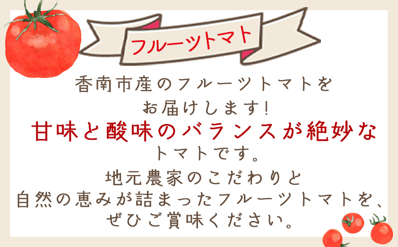 【2026年1月以降発送】フルーツトマト 1kg 家庭用 yr-0066