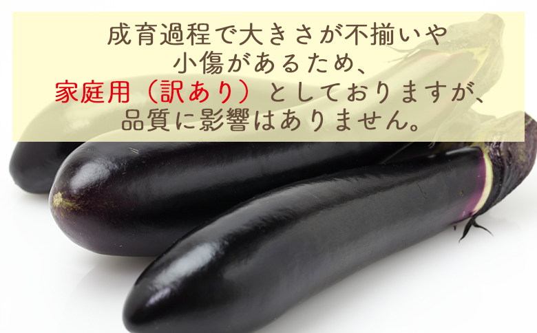 【2025年10月中旬以降発送】長なす １ｋｇ 家庭用 yr-0070