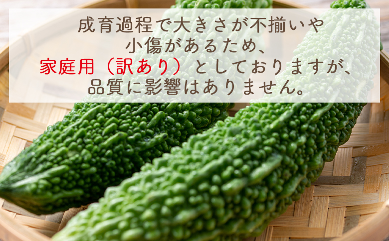 【2025年10月以降順次発送】ゴーヤ ２ｋｇ 家庭用 yr-0074