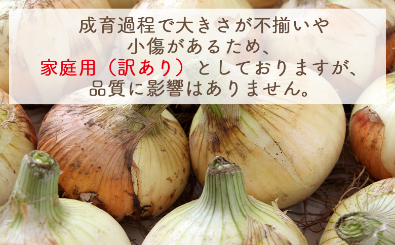 【2026年３月以降順次発送】新玉ねぎ 10kg 家庭用 yr-0080