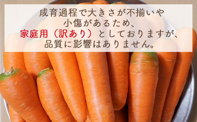 【2025年11月以降発送】にんじん ５ｋｇ 家庭用 yr-0083