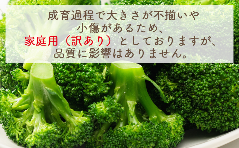 【2025年11月末以降発送】ブロッコリー 1kg 家庭用 yr-0086