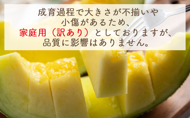 【令和8年3月発送開始】マスクメロン ２玉 家庭用 yr-0089