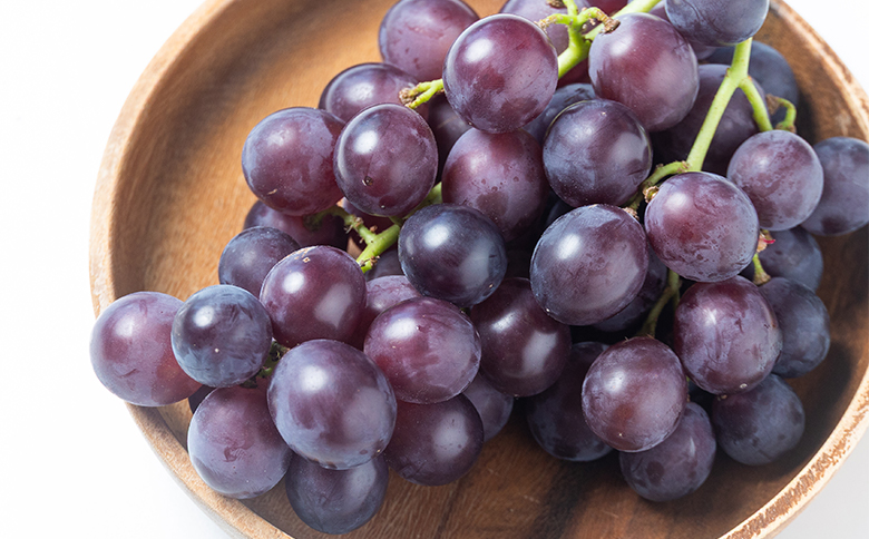 ぶどう 藤稔 6P yr-0100