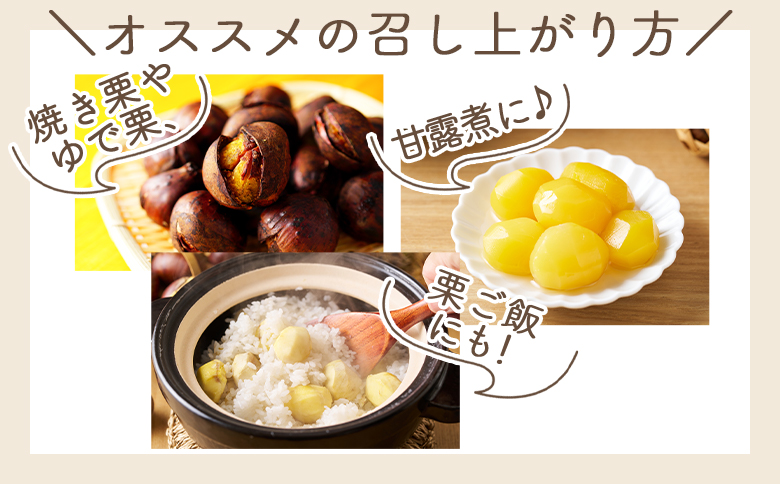 栄養豊富な秋の味覚 クリ（栗） 1袋（1kg） yr-0102
