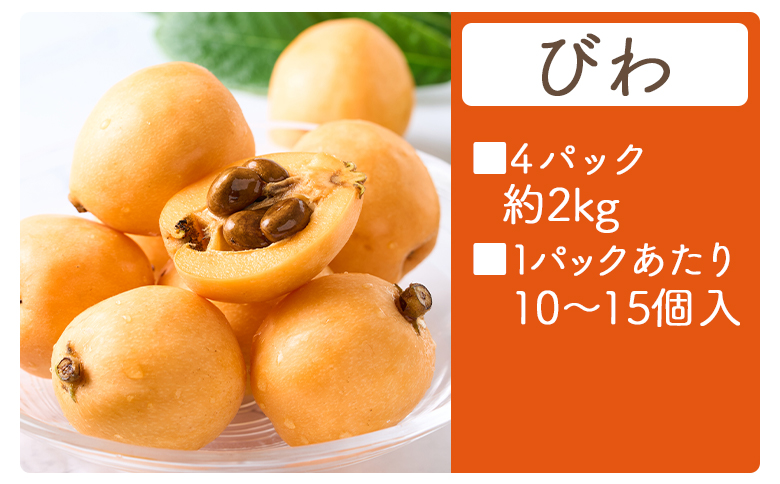 びわ ４パック 約2000ｇ （1パックあたり10～15個入） 香南市産 yr-0117