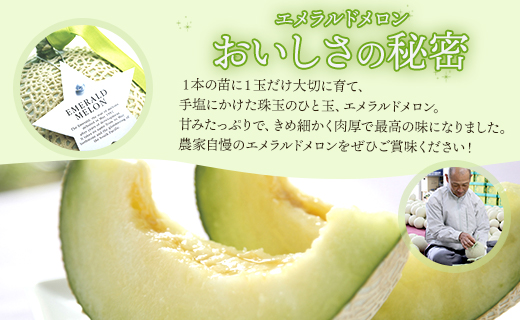 【期間限定】ルナ・ピエナスイカと夜須のエメラルドメロンセット 各1玉 - 送料無料 果物 くだもの フルーツ めろん すいか 甘い ギフト 贈答用 お祝い 御祝 お礼 御礼 特産品 yu-0015 合計2玉 メロンセット