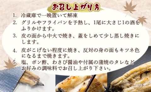 吉川水産 高知県産うなぎの白焼特大サイズ(180～210g)×1尾 タレ付き 自宅用エコ包装 yw-0042