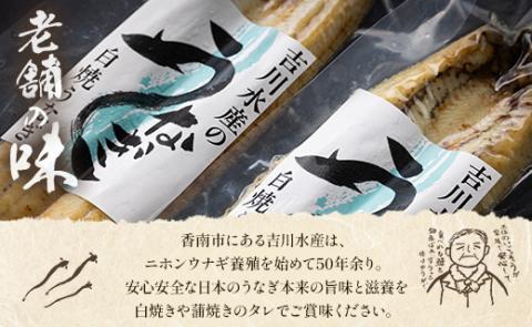 吉川水産 高知県産うなぎの白焼き 小サイズ(100～120g)×2尾 タレ付き yw-0043 2尾 100～120g