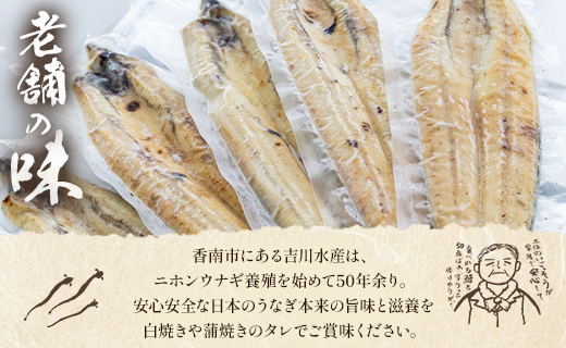 高知県産うなぎの白焼き 130～150ｇ×6尾 yw-0112 6尾 130～150g