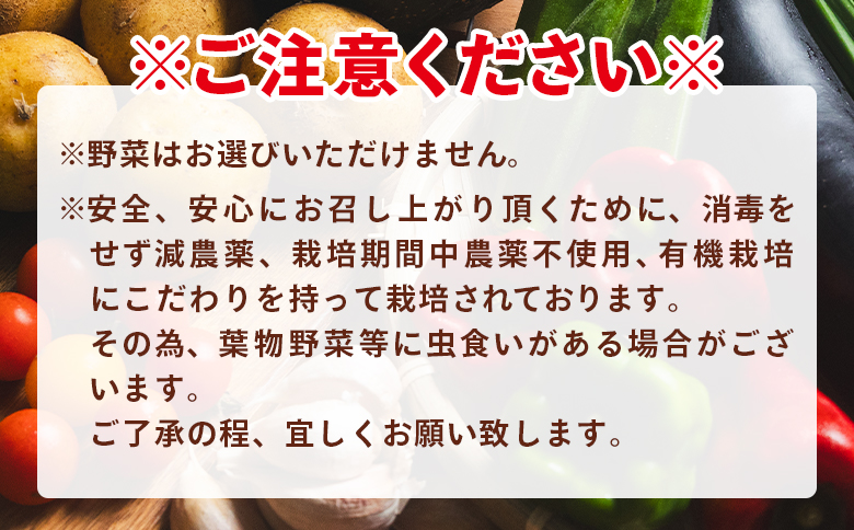 野菜 定期便 こだわりの新鮮野菜 【2ヶ月お届け】 Waf-0002