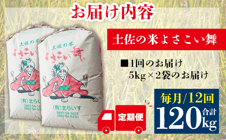 【12ヵ月定期便】新米 令和7年産 コシヒカリ よさこい舞（毎月）10kg 合計120kg - 2025年 送料無料 こしひかり お米 おこめ コメ 白米 精米 ご飯 ごはん ライス 高知県 香南市