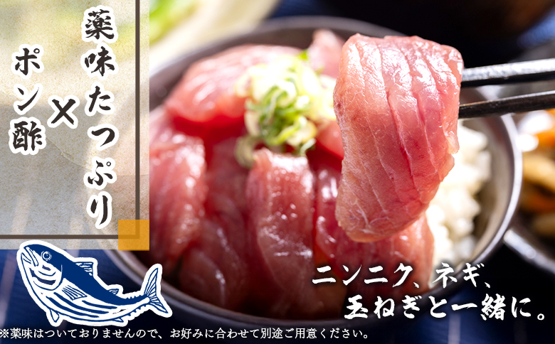 【12回定期便】本場高知の鰹の刺身 スライス(100g×2袋) Wnz-0037