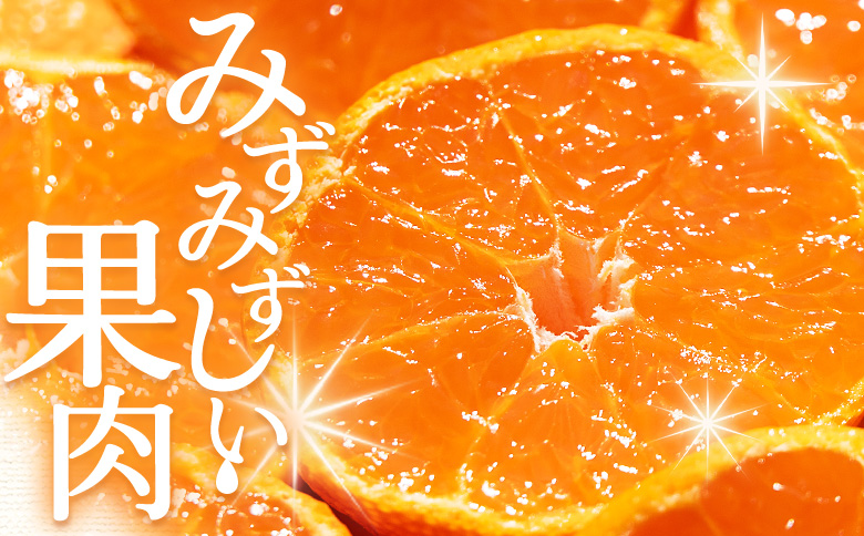 【２回定期便】露地みかん(2S～Mサイズ) 3kg 家庭用 （傷み補償分 ＋約100g） Wom-0007