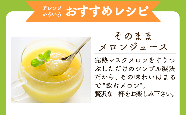 【2回定期便】完熟マスクメロンピューレ 120g×6袋 Wtn-0030