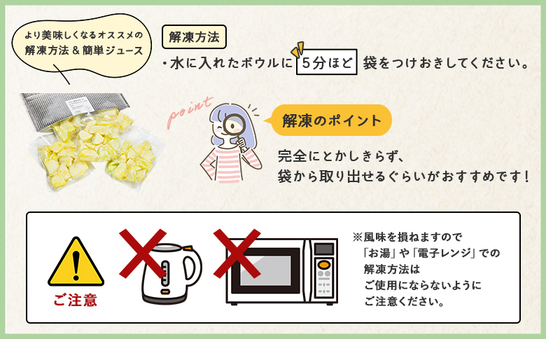【3回定期便】メロンジュースのもと 約800ｇ 約165g×5パック - 国産 マスクメロン 完熟 飲み物 飲料 甘い フルーツジュース ジュース スムージー アレンジ カットメロン 果物 くだもの フルーツ めろん 篤農 高知県 香南市 冷凍 Wtn-0034