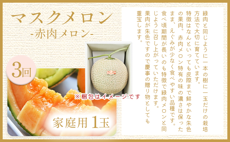 【４回定期便】メロン堪能定期便 Wtn-0054