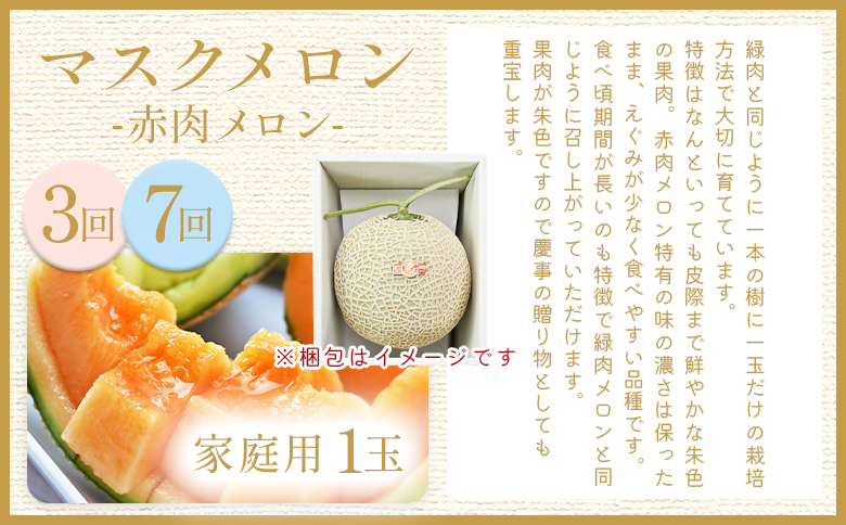 【８回定期便】メロン堪能定期便 Wtn-0055