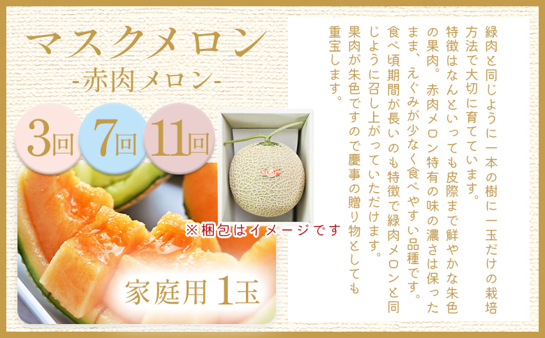 【12回定期便】メロン堪能定期便 Wtn-0056