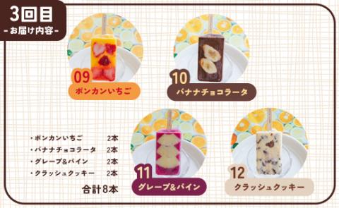 【3か月定期便】アイスキャンデー 12種類セット 合計24本