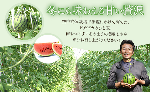 【3回定期便】ルナ・ピエナスイカ(中玉) 2玉 Wyu-0039
