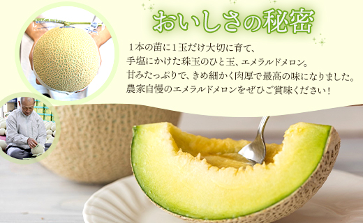 【２回定期便】夜須のエメラルドメロン 1玉 テレビ朝日「ザワつく!金曜日」で特集 紹介 くだもの フルーツ ギフト マスクメロン 青肉 ブランド ギフト 贈答用 ご褒美 高級 1個 お礼 御祝 産地直送 JA 高知県農業協同組合 香南市 常温 Wyu-0057 【2回定期便】 1玉