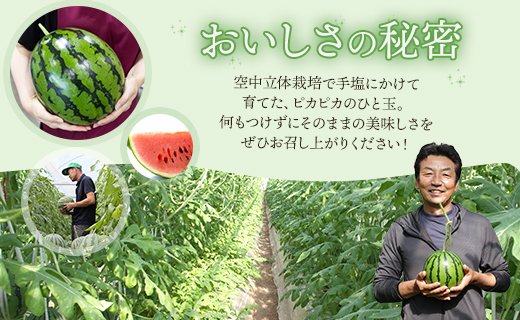 【２回定期便】ルナ・ピエナスイカ(大玉) 1玉 Wyu-0069 1玉【2回定期便】 大玉