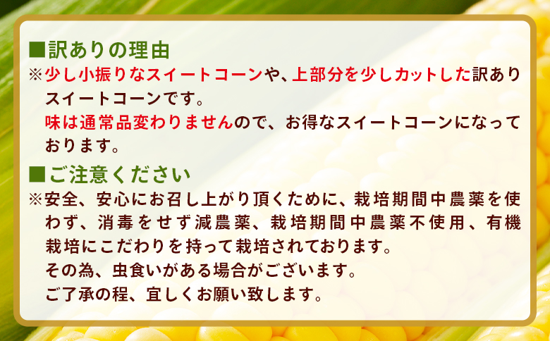 こだわりのスイートコーン 訳あり 10本セット af-0007