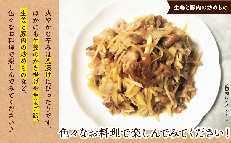 生姜 8kg 香南市産 別役の生姜 bc-0016