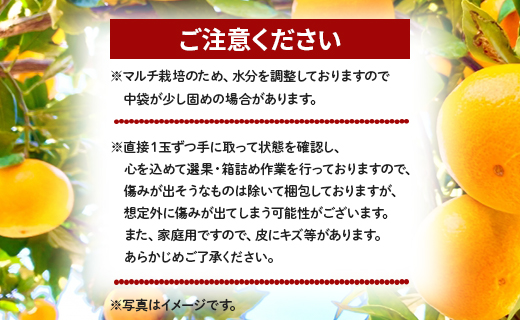 【2026年11月より順次配送】訳あり(家庭用) サイズお任せ 早生みかん 5kg 3S～Mサイズ be-0119